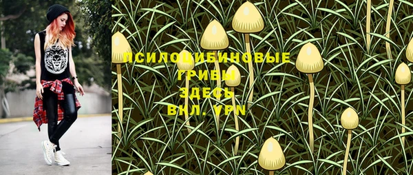 МДПВ Козельск