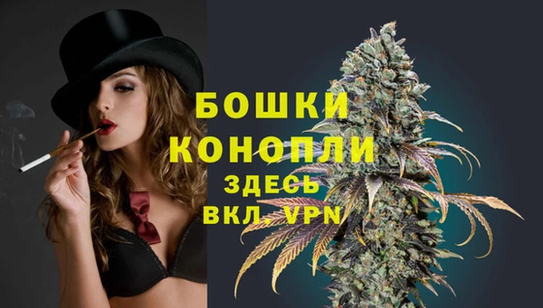 гашик Карталы