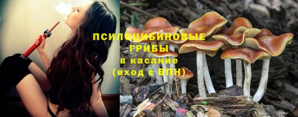 бутират Касимов