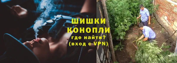 спиды Кодинск