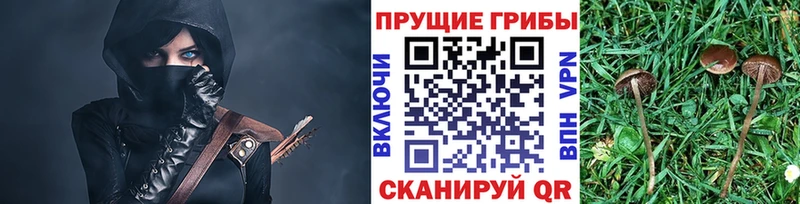 Псилоцибиновые грибы ЛСД  Купить закладки  Анапа 