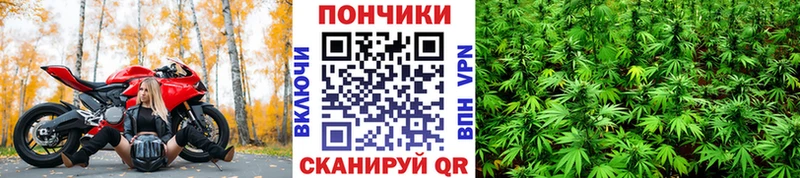 Купить закладки  Анапа  Марихуана Ganja 